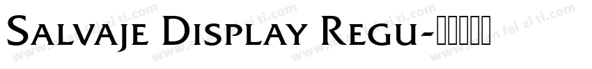 Salvaje Display Regu字体转换